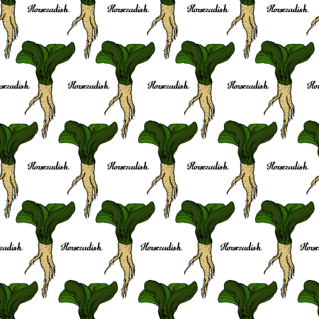 Horseradish vector natural coloured pattern for web, textile, branding, t-shirts, cards, craftのイラスト素材