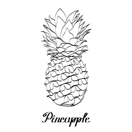 Vector path natural pineapple with ink textのイラスト素材