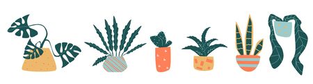 Set of funny vector houseplant in lineのイラスト素材
