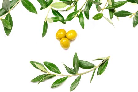 Some ripe fresh olives on the white background, isolated.の写真素材