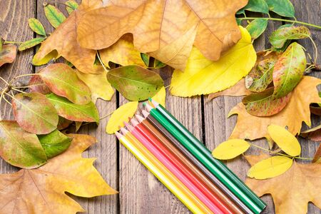 Vignette of dry autumn leaves and colorful pencils on the wooden natural background. Autumn colorfulness concept.の写真素材