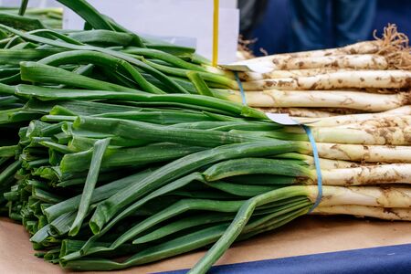 Traditional seasonal Holiday of spring onion "CalÃ§otada" . Spring onion on the counters of the market. の写真素材