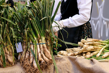 Big bundles of fresh ripe spring onion prepared for cleaning them and grilling on the barbeque....