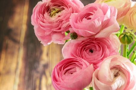 Bouquet of ranunculus or buttercup closeup on the wooden background. Nice present for MotherÂ´s day, WomenÂ´s day, St. ValentineÂ´s day or Easter. Springtime, gardening concept. の写真素材