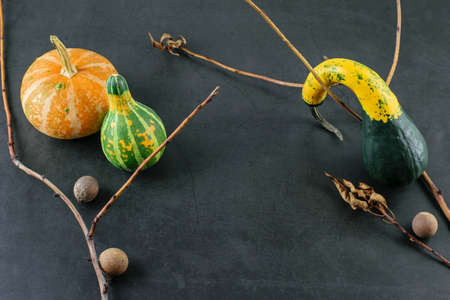 Halloween dark background with small decorative pumpkins, dry tree branches and natural elements. Top view, space for your text.の写真素材
