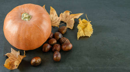 Halloween dark background with big pumpkin, dry leaves and chestnuts. Top view, banner space for your text.の写真素材