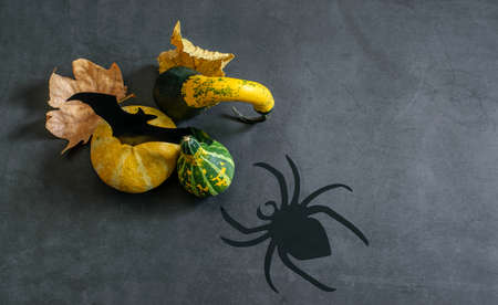 Decorative pumpkins, dry autumn leaves , spider and bat on the dark gloomy Halloween background.の写真素材