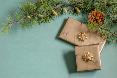 Christmas tree branch, cone and packed presents on the green background. Handmade package boxes, Diy...