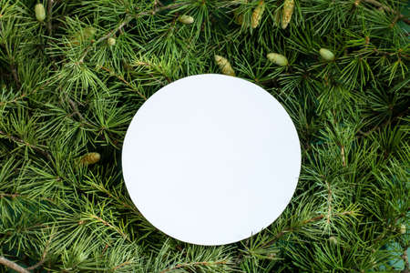 Christmas tree background with white blank in the center. Base greeting card design or any more with copy space.の写真素材