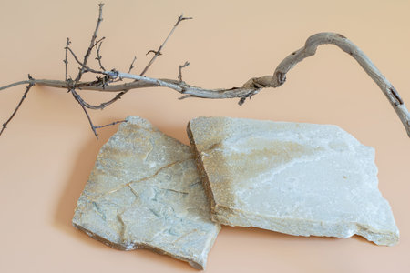 Trendy stones podium with natural dry brunch element on the beige neutral background. Mockup modern template with space for displaying your text or design or any purposes.の写真素材