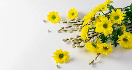 Yellow chrysanthemums and willow twigs bouquet horizontally. Nice design for card or invitation....