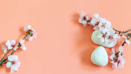 Fresh blooming almond brunches and natural stones on the pink background closeup. Pedestal background of natural elements for displaying your cosmetics or any product, logo or text. Springtime concept, beauty in nature.の写真素材