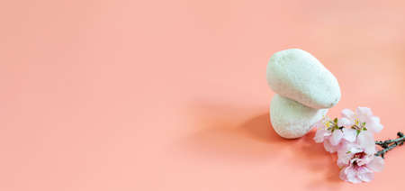 White stones and blooming almond branch on the pink banner background. Spring mockup template for displaying your product, design, text or any more purposes.の写真素材
