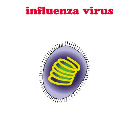 Influenza virus isolated.のイラスト素材