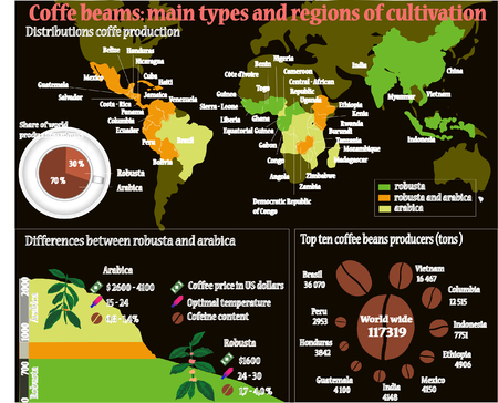 Coffee info graphicon dark background. Coffee beans: Main types and region of cultivation. Perfect detailed coffee.のイラスト素材