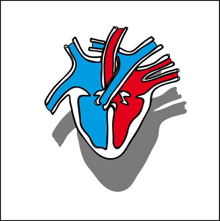 Heart flat material design landing site isolated on white background vector illustration.のイラスト素材