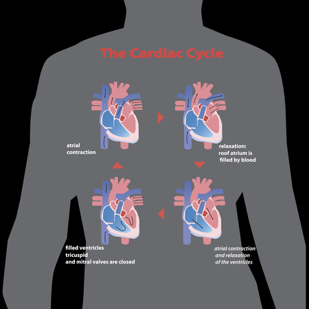 Flat cardiac heart shape isolated on black background. vector illustration.のイラスト素材