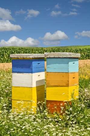Beekeeping in Serbiaの写真素材