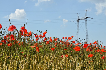 Power Distributionの写真素材
