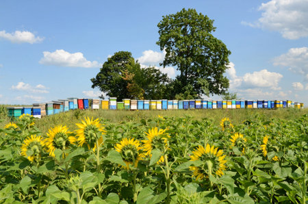 Beekeeping in Europe