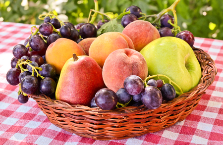 Mixed fresh fruitの写真素材