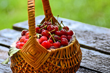 Cherries in the basketの写真素材