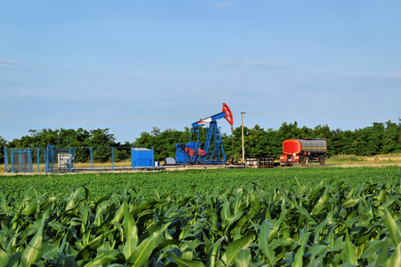 Petroleum pump in a corn farmland, dirty technologyの写真素材