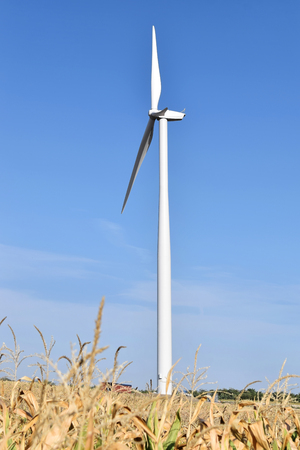 Wind farmの写真素材