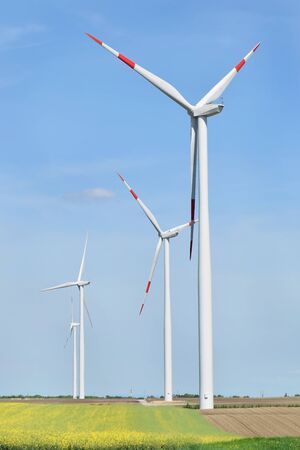 Wind farm in Alibunarの写真素材