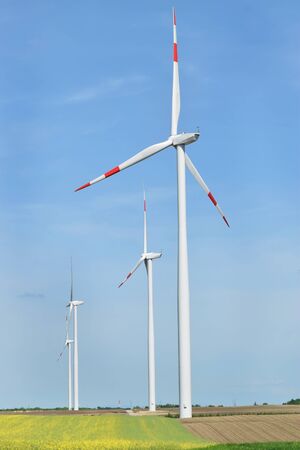Wind farm in Alibunarの写真素材