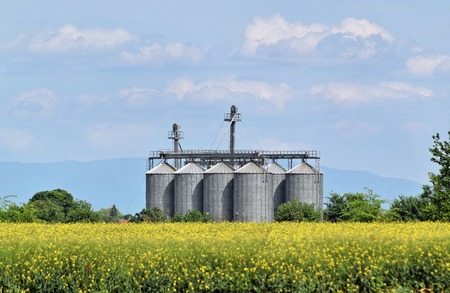 Silo surrounded by oilseed rape flowers in blossom during springtimeの写真素材