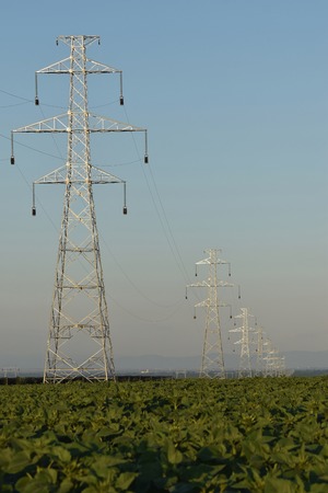 Brand new power lines in construction during twilight, wiring workの写真素材