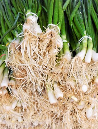 Bunch of fresh spring onion at the marketplaceの写真素材