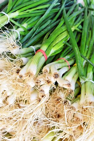 Bunch of fresh spring onion at the marketplaceの写真素材