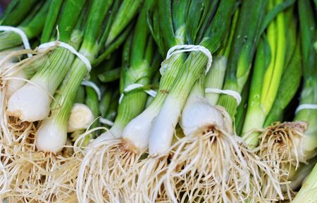 Bunch of fresh spring onion at the marketplaceの写真素材