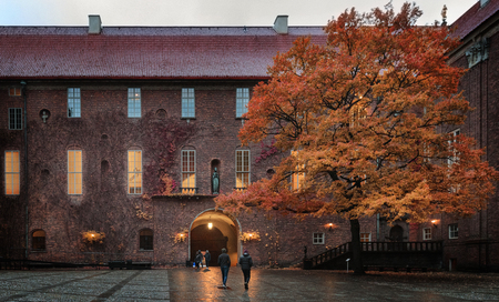 Beautiful large tree in the old town in autumnの写真素材
