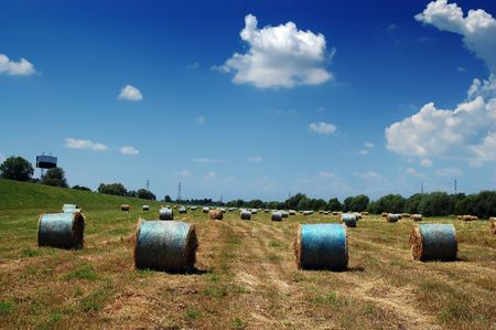 Bales of straw lined up for pick-up. Or a race?の写真素材