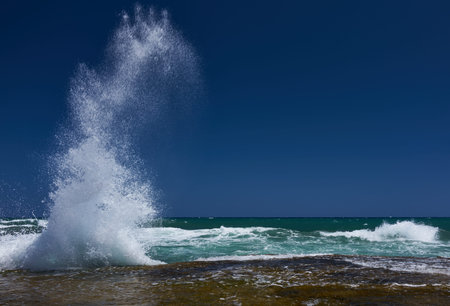 The sunny seascapeの写真素材