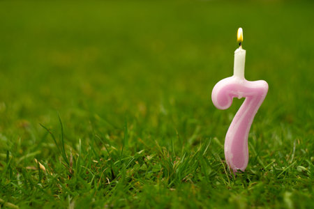 Candle number seven on the green grass in the garden. Festive green background for the text for the...