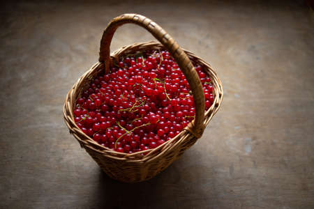 A wicker basket with red currant berries. Summer harvest. Seasonal vitamins.の写真素材