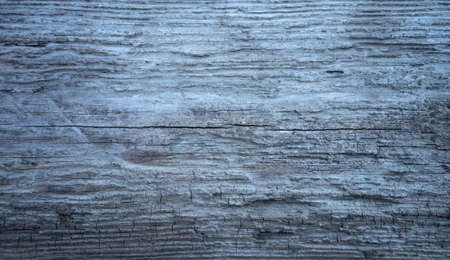 Photo of the texture of an old dry tree in gray colorの写真素材
