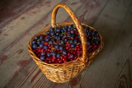 Black and red currant berries in a wicker basket on a wooden background. Natural wild berriesの写真素材