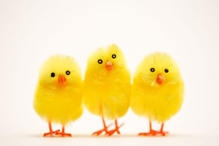 Three easter chicks close upの写真素材