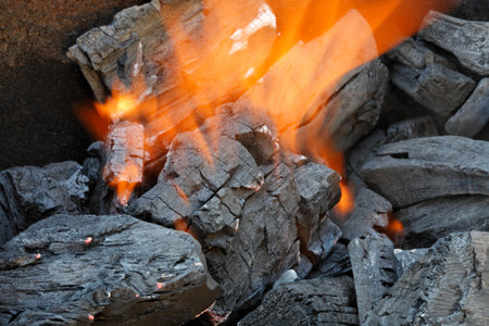 Barbeque fire