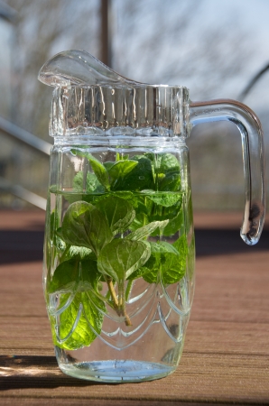 glass of jar with water and herbsの写真素材