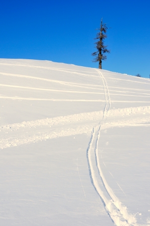 tracks in the snowの写真素材