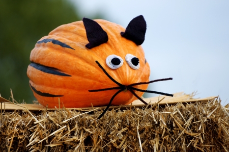pumpkin mouse on a bale of strawの写真素材