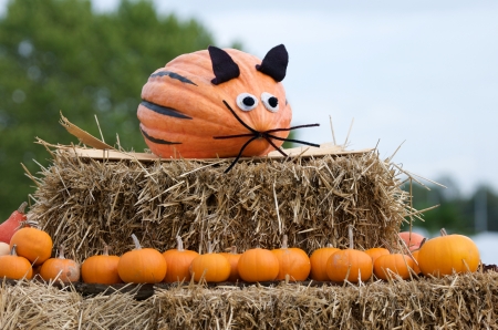straw bales decorated with pumpkinsの写真素材