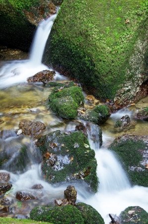 creek running through moss-covered stonesの写真素材