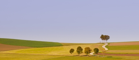 hiking path in an autumnal hill land in austriaの写真素材